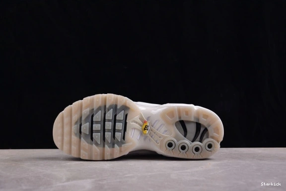 A-COLD-WALL Nike Platinum Air Tint Plus Max 0818